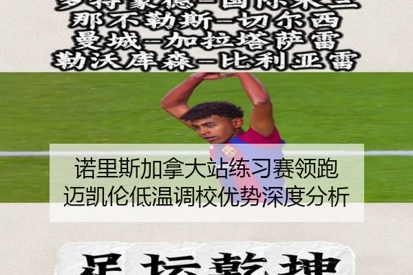 诺里斯加拿大站练习赛领跑 迈凯伦低温调校优势深度分析